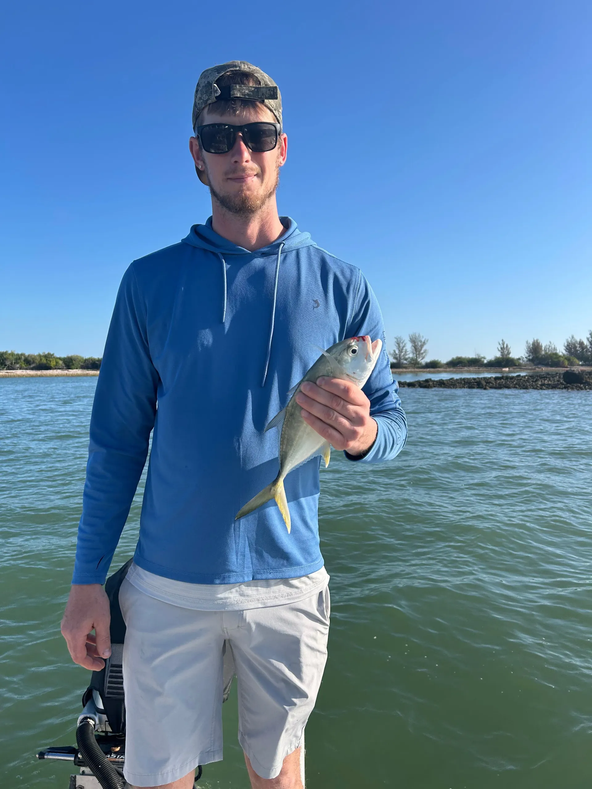 Crystal River Wildlife Guide: Manatees, Dolphins, Birds & Marine Life You May See on a Fishing Charter