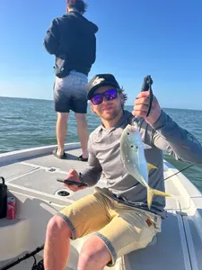 Crystal River Scalloping Guide: Best Season, Limits, Gear & What to Expect